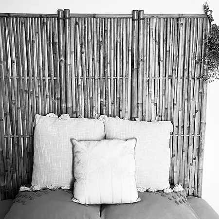 Suite Confort Et Evasion Saint-Chaptes Exterior photo